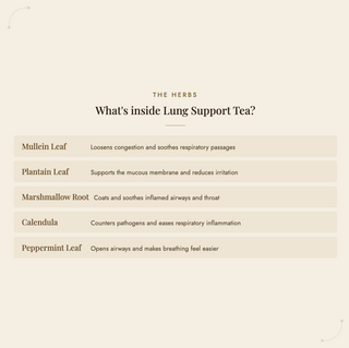 Lung Support Tea